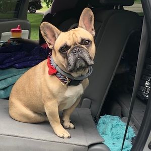 Meet your Posher, Kelly